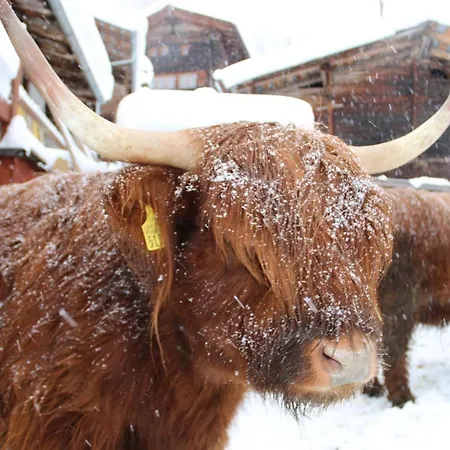 Meine Kleine Ecke * Ferden
